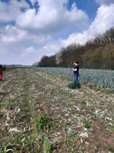 Alina steht auf einem Feld zum Nachernten
