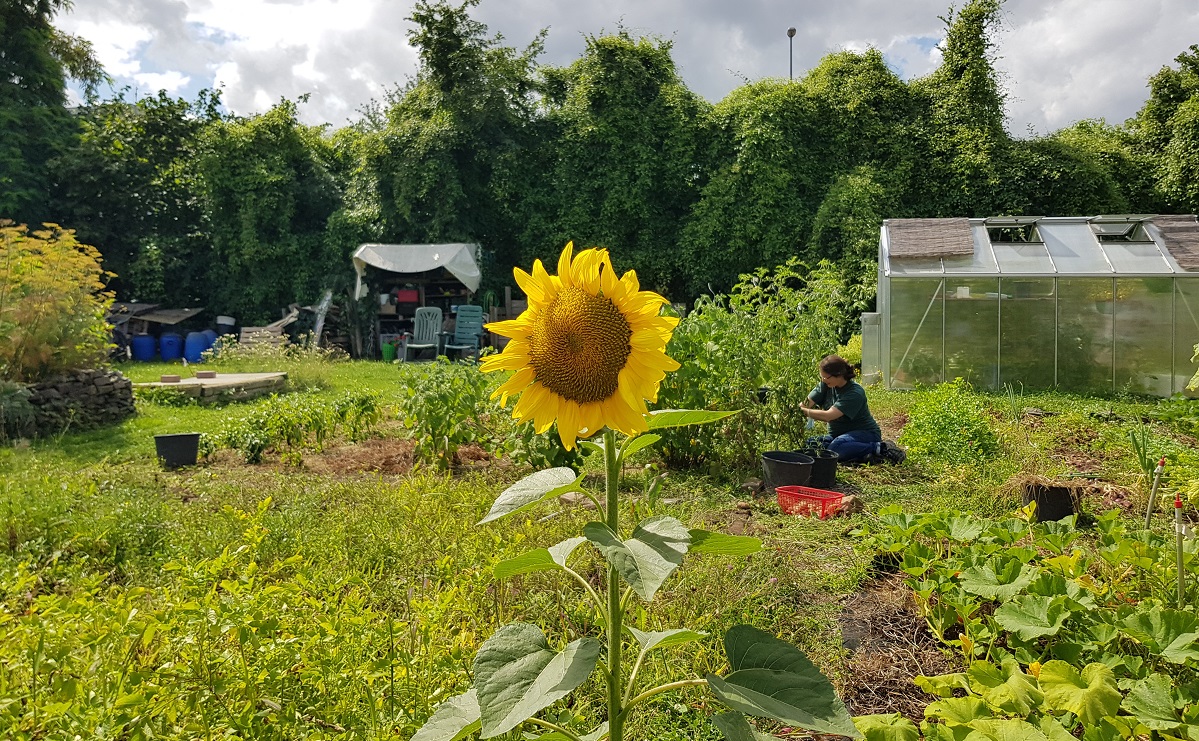 Vitalisgarten Köln