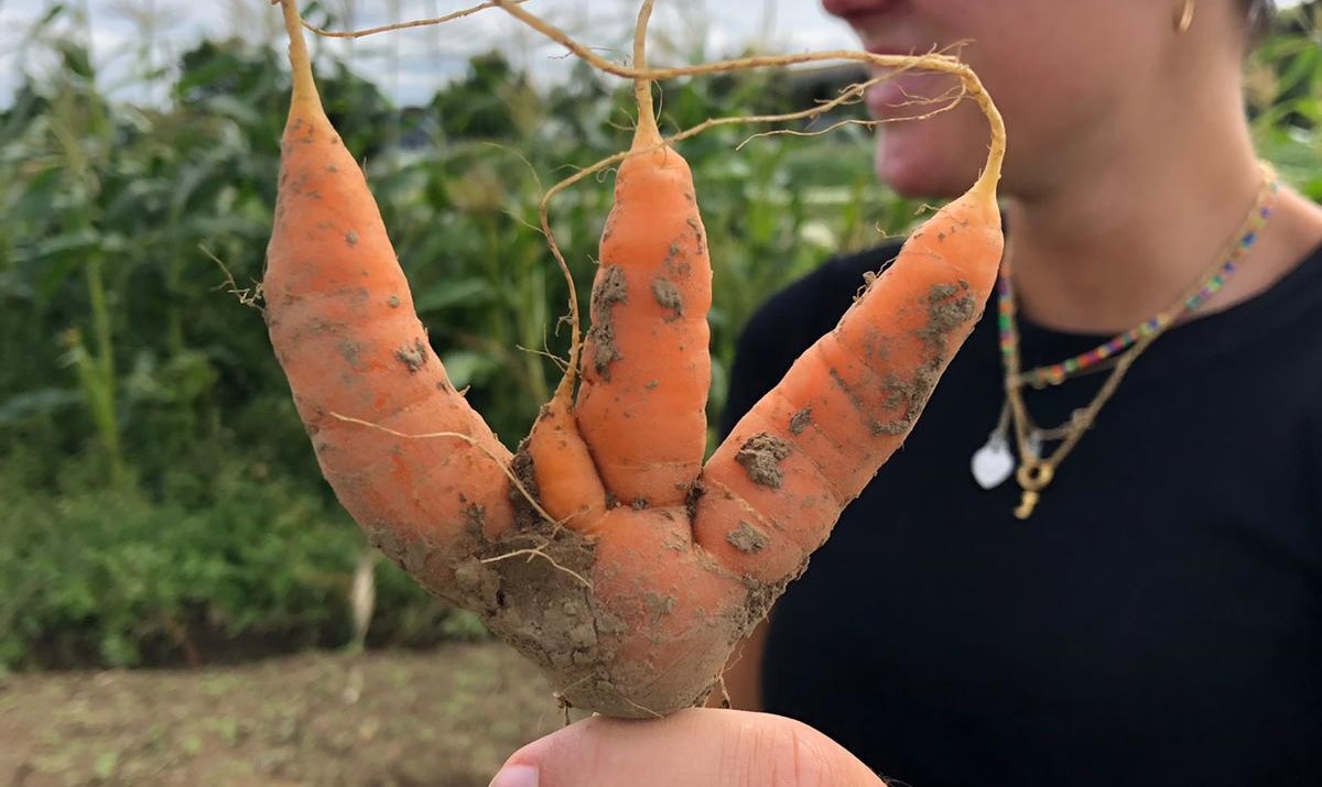 „Lebensmittel wieder als Naturprodukte begreifen“